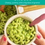 green mac and cheese pin.